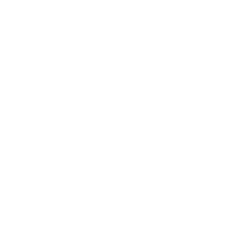 Noise-cancelling Headphones